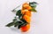 Ripe orange fresh mandarin on a white background. Five tangerines with green on a white background