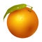 Ripe orange fruits 3d citrus sweet food realistic organic vector illustration.
