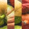 Ripe orange and green natural pumpkin on wooden table