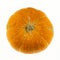 Ripe orange pumpkin whole vegetable lies on a white background