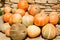 Ripe orange pumpkins stacked