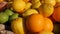 Ripe Orange and yellow Sicilian lemons and green lime