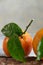 Ripe oranges on grey background. Vitaminic tropical food