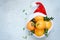 Ripe oranges in the hat of Santa Claus with boxwood plant on a blue background. Festive mood, Christmas and New Year.