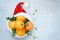 Ripe oranges in the hat of Santa Claus with boxwood plant on a blue background. Festive mood, Christmas and New Year.