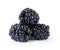 Ripe organic blackberries