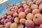 Ripe organic orange apricots packed in a wooden crate