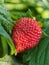 Ripe organic strawberries. Large textured fruit.Close up