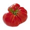 Ripe Ox-Heart Tomato Isolated on White