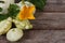 Ripe pattypan squash vegetables with yellow flowers and leaves