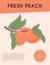 Ripe peaches on branch. Sweet nectarine fruits vector hand drawn card design.