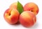 Ripe peaches with leaf on white background.Macro.AI Generative