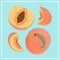 Ripe peaches, whole, sliced and half sliced peaches. Sweet nectarine fruits vector hand drawn illustration.