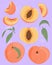 Ripe peaches, whole, sliced and half sliced peaches. Sweet nectarine fruits vector hand drawn illustration.