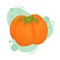 Ripe persimmon with a green leaf. Vector illustration of fruit