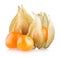 Ripe physalis