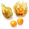 Ripe physalis fruit isolated on white background