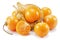 Ripe physalis or golden berry fruits in calyx isolated on white background