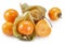 Ripe physalis or golden berry fruits in calyx isolated on white background