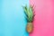 Ripe Pineapple with Bushy Green Leaves on Split Duotone Pink Blue Background. Summer Vacation Travel Tropical Fruits Vitamins