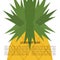 Ripe pineapple and place for text here, colorful backdrop. Background wit fruit