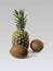 Ripe pineapple and two hairy coconuts on a light background