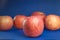 Ripe pink apples on a blue background