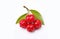Ripe Pitanga Fruit - Surinam Cherry - Exotic Delight