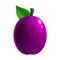 Ripe plum fruit whole fresh organic, purple color, icon. Vector illustration symbol icon cartoon