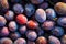 Ripe plums. Close up of fresh plums, top view. Macro photo food fruit plums. Texture background of fresh blue plums. Image fruit