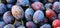 Ripe plums. Close up of fresh plums, top view. Macro photo food fruit plums. Texture background of fresh blue plums. Image fruit