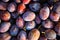 Ripe plums. Close up of fresh plums, top view. Macro photo food fruit plums. Texture background of fresh blue plums. Image fruit