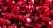 Ripe pomegranate seeds. Slow motion.