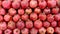 Ripe pomegranate top view, harvest of pomegranate laid out on a shelf