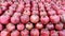 Ripe pomegranate top view, harvest of pomegranate laid out on a shelf