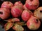 Ripe pomegranates skin texture