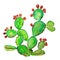 Ripe Prickly pear cactus with fruits. Watercolor raster illustration