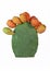 Ripe prickly pear fruit on green cactus