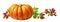 Ripe pumpkin and autumn colorful leaves isolated on white background. Halloween arrangement