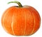 Ripe pumpkin isolated