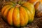 Ripe pumpkin ribbed yellow large harvest autumn farmer design seasonal