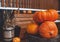 Ripe pumpkins and a bunch of ripe wheat lie on wooden barrels