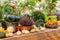 Ripe pumpkins, flowering hydrangea, heather, chrysanthemum on a wooden counter. Autumn harvest festival Fremer, flower and