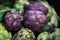 Ripe purple artichoke on the local vegetables market