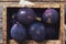 Ripe purple figs in rusted wooden box