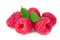 ripe raspberries with green leaf isolated on white background macro. full depth of field