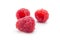 Ripe raspberry closeup