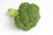 Ripe raw broccoli, inflorescence, isolated on a white background
