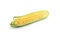 Ripe raw corn cob with husk on white