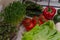 Ripe raw multicolored vegetables close-up